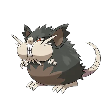 Raticate · Alola