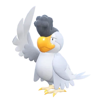 Squawkabilly · White Plumage